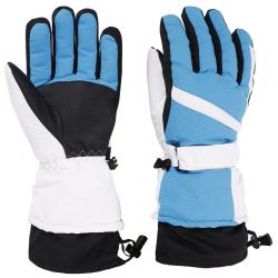 Ski Gloves