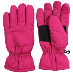 Ski Gloves