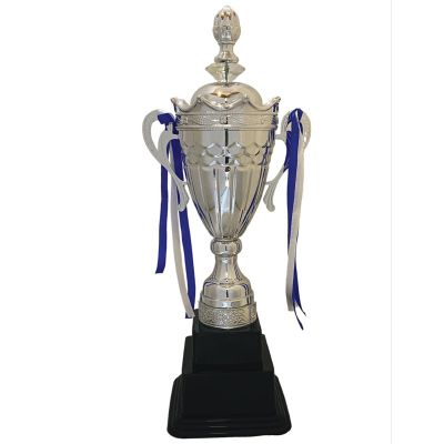WInner Trophy